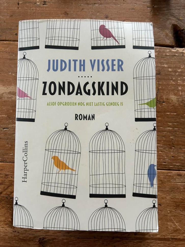 Judith Visser - Zondagskind, Boeken, Literatuur, Gelezen, Ophalen of Verzenden