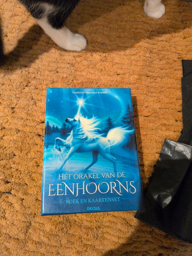 Het Orakel van de Eenhoorns - Boek en Kaartenset, Boeken, Esoterie en Spiritualiteit, Zo goed als nieuw, Spiritualiteit algemeen