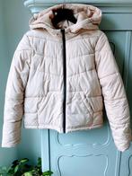 Beige winterjas - Maat S, Ophalen of Verzenden, Zo goed als nieuw, Maat 36 (S), Beige