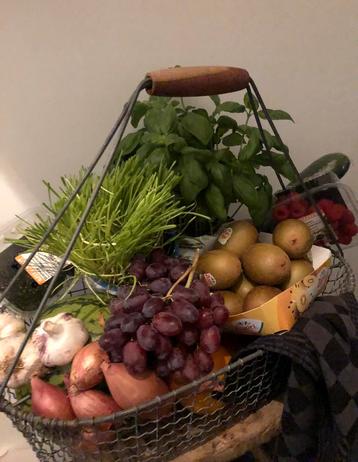 Draadmand beschikbaar voor biedingen