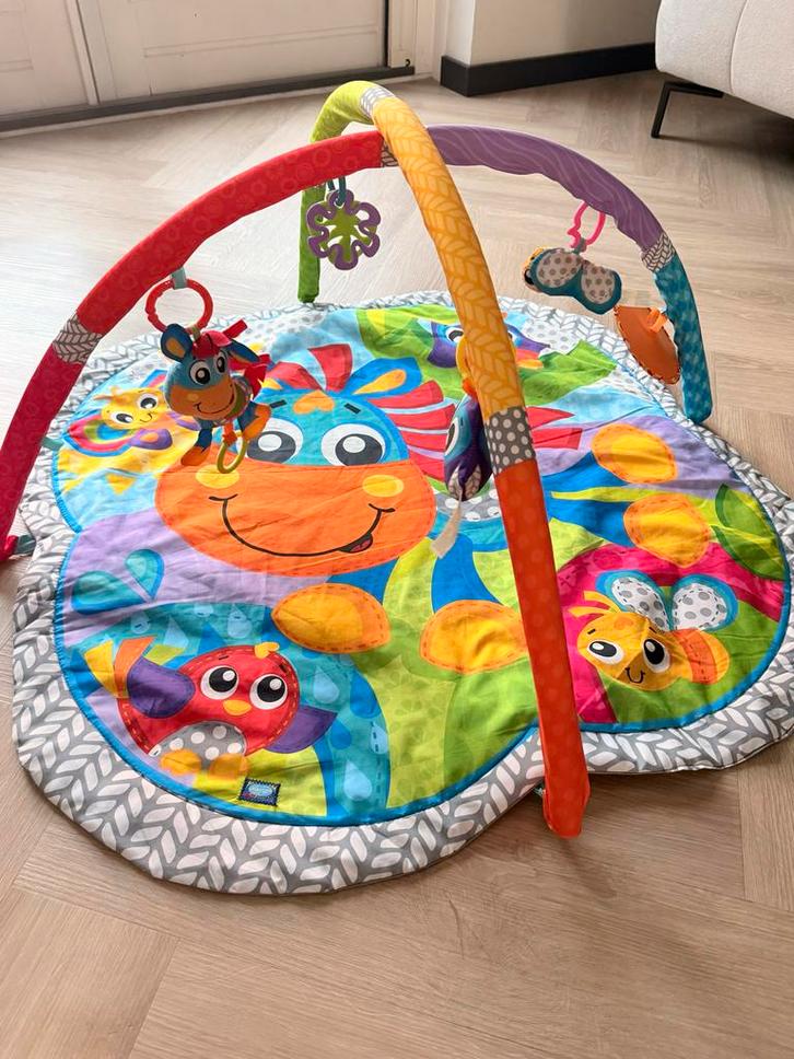 Playgro Babygym met Spiegel, Kinderen en Baby's, Speelgoed | Babyspeelgoed, Gebruikt, Babygym, Ophalen