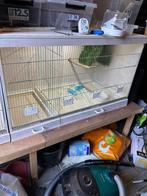 Broedkooi kweekkooi, Dieren en Toebehoren, Ophalen, Gebruikt, Hout, Broedkooi of Kweekkooi