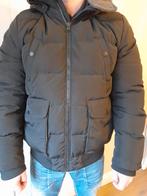 Jas winterjas Hilfiger, Nieuw, Ophalen of Verzenden, Tommy Hilfiger, Zwart