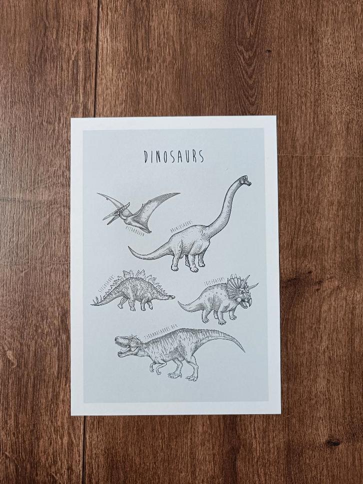 Dino poster Desenio A4, Verzamelen, Posters, Zo goed als nieuw, Dier of Natuur, A4 of kleiner, Rechthoekig Staand, Ophalen of Verzenden