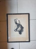 Kurt Meyer-Eberhardt - Steenbok Ets in Originele Lijst, Antiek en Kunst, Kunst | Etsen en Gravures, Ophalen