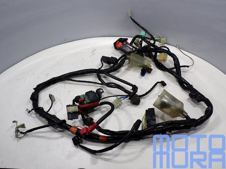 Kabelboom voor de Honda CBF 600 2004 - 2006 CBF600 draadboom, Motoren, Onderdelen | Honda, Gebruikt, Ophalen of Verzenden