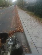 Vegen onkruid, Ophalen of Verzenden, Zo goed als nieuw