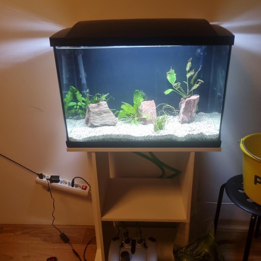 Superfish 70 aquarium, Dieren en Toebehoren, Ophalen, Zo goed als nieuw, Leeg aquarium