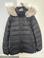 Zwarte tommy hilfiger jas, Kleding | Dames, Jassen | Winter, Maat 38/40 (M), Zwart, Ophalen of Verzenden, Zo goed als nieuw