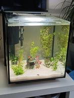 Superfish Aquarium type cubic 60 liter, Ophalen, Zo goed als nieuw, Leeg aquarium