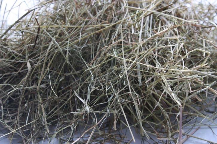 BIOLOGISCH hooi te koop bij Stouten Fourage, Dieren en Toebehoren, Dierenvoeding, Vee, Ophalen of Verzenden
