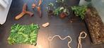 Terrarium spullen, Dieren en Toebehoren, Reptielen en Amfibieën | Toebehoren, Ophalen of Verzenden, Zo goed als nieuw, Terrarium of Paludarium