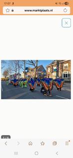 Carnaval loopgroep Vlinders en rupsen, Carnaval, Kleding, Ophalen, Maat 38/40 (M)