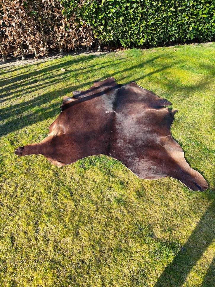 Echt Lederen Koeienhuid 3 stuks ook los te koop. Prijs is ps, Huis en Inrichting, Stoffering | Tapijten en Kleden, Gebruikt, 150 tot 200 cm