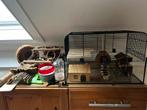 Interzoo hamsterkooi 51 glas met veel extra’s, Dieren en Toebehoren, Knaagdieren en Konijnen | Hokken en Kooien, Kooi, Gebruikt