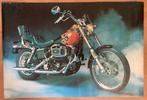 Haley Davidson affiche 1981, Verzamelen, Posters, Ophalen of Verzenden, Zo goed als nieuw, Rechthoekig Staand