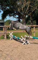 prachtige ruin met veel springtalent!, Dieren en Toebehoren, Pony's, Gechipt, Ruin, 3 tot 6 jaar, Onbeleerd