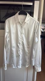 Robert friedman prachtige zgan witte satijnen  blouse mt xxl, Wit, Maat 46/48 (XL) of groter, Zo goed als nieuw, Robert friedman