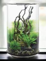 Biorb Tube 30 liter Aquarium met toebehoren, Dieren en Toebehoren, Vissen | Aquaria en Toebehoren, Ophalen of Verzenden