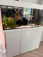 Juwel rio 180 aquarium met alle toebehoren, Ophalen of Verzenden, Zo goed als nieuw