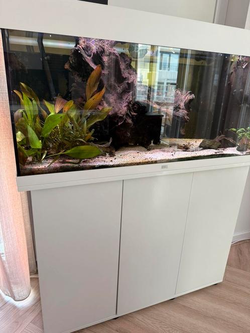 Juwel rio 180 aquarium met alle toebehoren, Dieren en Toebehoren, Vissen | Aquaria en Toebehoren, Zo goed als nieuw, Ophalen of Verzenden