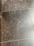 Belgisch hardstenen tegels, 30 cm of meer, Steen of Klei, 50 tot 150 cm, Nieuw