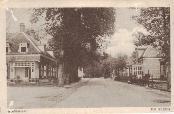 0156 De Steeg Hoofdstraat 1929 gelopen, Verzamelen, Ansichtkaarten | Nederland, Gelopen, Gelderland, 1920 tot 1940, Ophalen of Verzenden