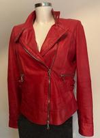 Leren damesjasje rood maat 36/38 Merk "S" Made in Italy, Kleding | Dames, Jassen | Winter, Merk S, Verzenden, Zo goed als nieuw