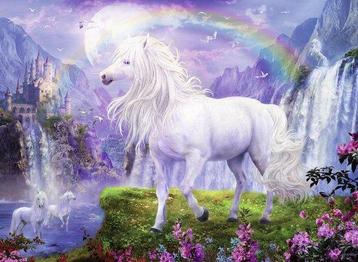 Ravensburger - Vallei van de Regenboog - 500 stukjes beschikbaar voor biedingen