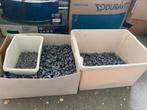 Spijkerclip, leiding spijkers, 16 mm clips, Ophalen of Verzenden, Nieuw, Overige typen