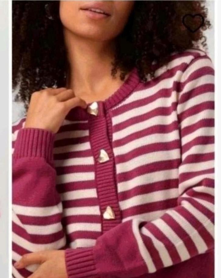 Fabienne Chapot Stine cardigan/ vest maat L *nieuw *, Kleding | Dames, Truien en Vesten, Nieuw, Maat 42/44 (L), Ophalen of Verzenden