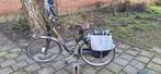 Giant Twist elektrische fiets – 36V, Ophalen, Gebruikt, Giant