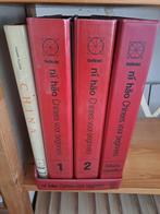 Chinees voor beginners, Boeken, Ophalen of Verzenden, Zo goed als nieuw, Chinees, Non-fictie