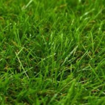 KUNSTGRAS 2 m2 kunst gras 1x2 m 30 mm GRATIS BEZORGD! beschikbaar voor biedingen