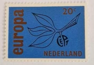 Nederland 1965 - nvph 848 - Europa – Twijg en vrucht beschikbaar voor biedingen
