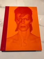 David Bowie IS - Groninger Museum Boek, Artiest, Nieuw, Ophalen of Verzenden, Victoria Broackes en Geoffrey Marsh