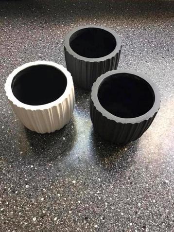 Capi bloempotjes samen voor beschikbaar voor biedingen