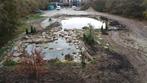Ecosysteem zwemvijver aan leggen? BuitenhuisWaterscapes, Tuin en Terras, Vijvers, Ophalen, Nieuw