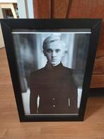 Poster van Draco Malfidus met lijst  50 bij 35 cm, Rechthoekig Staand, Met lijst, Ophalen of Verzenden, Zo goed als nieuw