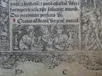 Gedrukt getijdenboekblad perkament Mariagetijden Parijs 1500, Antiek en Kunst, Antiek | Boeken en Bijbels, Verzenden