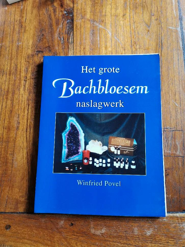Het grote Bachbloesem naslagwerk, Winfried Povel., Boeken, Esoterie en Spiritualiteit, Zo goed als nieuw, Achtergrond en Informatie