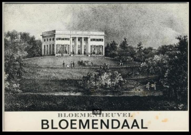 Bloemendaal Bloemenheuvel Harry Lam Boek Nr.25 jdu, Boeken, Geschiedenis | Stad en Regio, Zo goed als nieuw, Ophalen of Verzenden