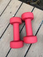 Set van 2 Dumbbells / Gewichten - 2.5 kg per stuk, Sport en Fitness, Fitnessmaterialen, Ophalen of Verzenden, Gebruikt, Armen