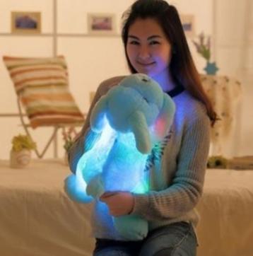 Pluchen Knuffelhond blauw met LED Nachtverlichting [B - 143] beschikbaar voor biedingen