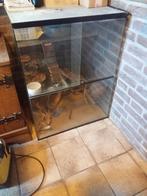 Gerbillarium 60 cm x 80 Cm terrarium schuifdeuren 4 verdiepi, Dieren en Toebehoren, Knaagdieren en Konijnen | Hokken en Kooien