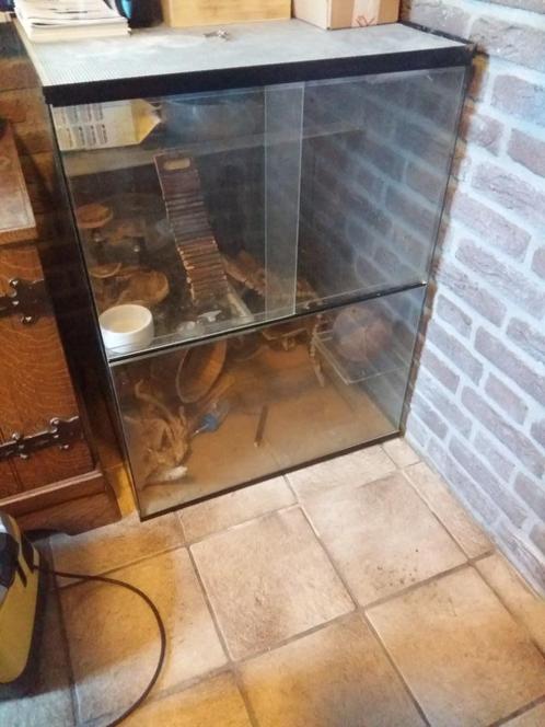 Gerbillarium 60 cm x 80 Cm terrarium schuifdeuren 4 verdiepi, Dieren en Toebehoren, Knaagdieren en Konijnen | Hokken en Kooien