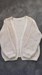 Prachtig Nukus vest, Kleding | Dames, Ophalen of Verzenden, Zo goed als nieuw, Maat 42/44 (L)