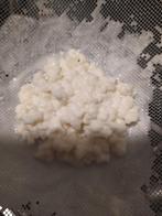 Melkkefir kefir, Diversen, Levensmiddelen, Ophalen