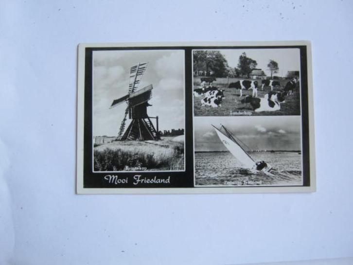 Ansichtkaarten Nederland, TC 10-19 Mooi Friesland 3 luik 56, Verzamelen, Ansichtkaarten | Nederland, Gelopen, Friesland, 1940 tot 1960