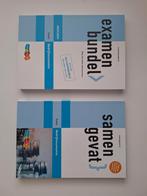 Bedrijfseconomie HAVO Examenbundel & Samengevat, Boeken, Ophalen of Verzenden, Beta, Zo goed als nieuw, Diverse